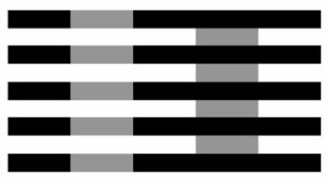 white-illusion-big